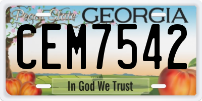 GA license plate CEM7542