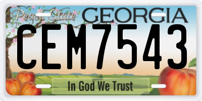 GA license plate CEM7543