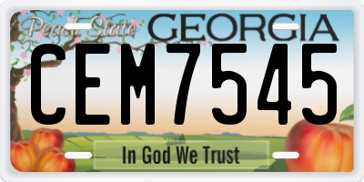 GA license plate CEM7545