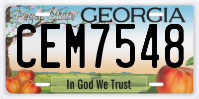 GA license plate CEM7548