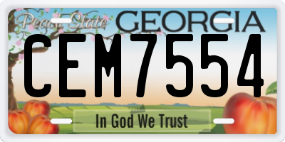 GA license plate CEM7554
