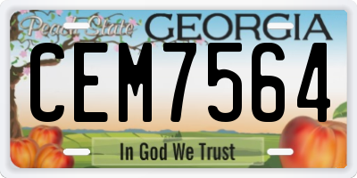 GA license plate CEM7564