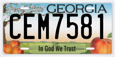 GA license plate CEM7581