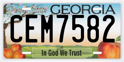 GA license plate CEM7582