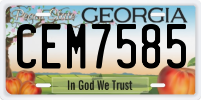 GA license plate CEM7585