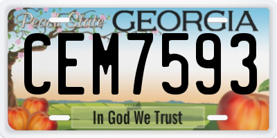 GA license plate CEM7593