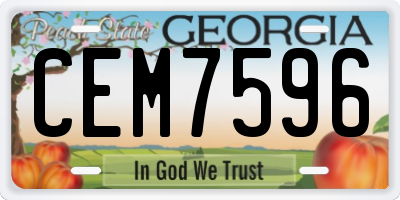 GA license plate CEM7596
