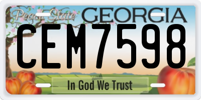 GA license plate CEM7598