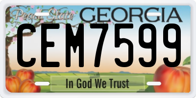GA license plate CEM7599