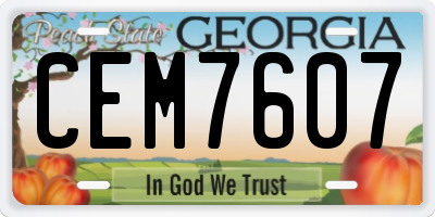 GA license plate CEM7607