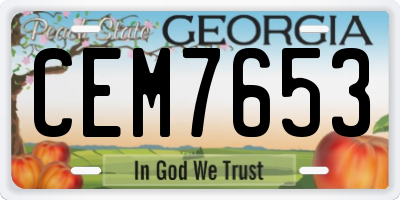 GA license plate CEM7653