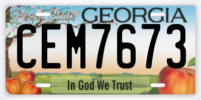 GA license plate CEM7673