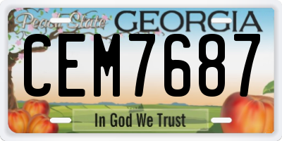 GA license plate CEM7687
