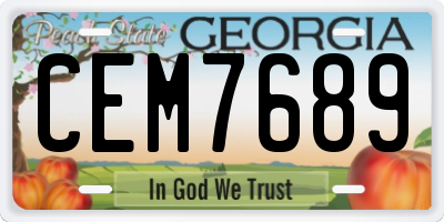 GA license plate CEM7689