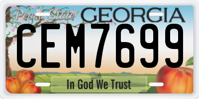 GA license plate CEM7699