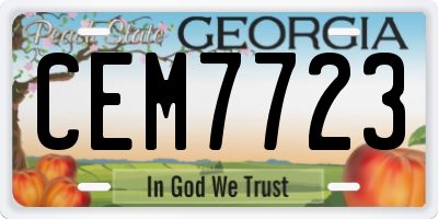 GA license plate CEM7723