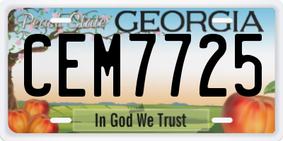 GA license plate CEM7725