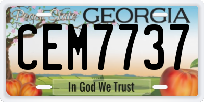 GA license plate CEM7737