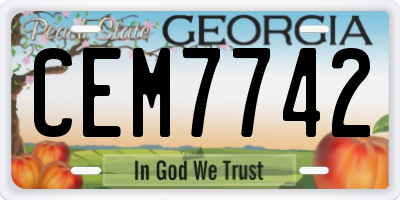GA license plate CEM7742