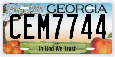 GA license plate CEM7744
