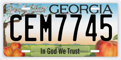 GA license plate CEM7745