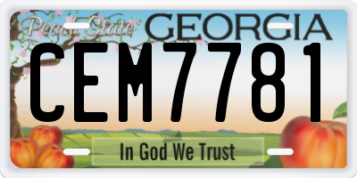 GA license plate CEM7781