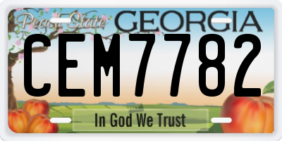 GA license plate CEM7782