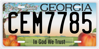 GA license plate CEM7785
