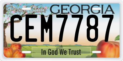 GA license plate CEM7787