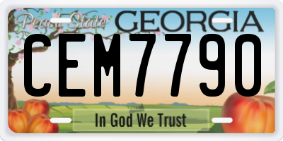 GA license plate CEM7790
