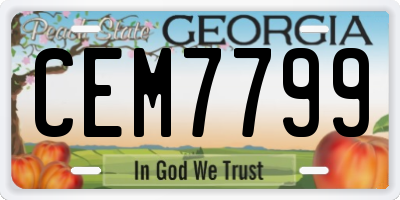 GA license plate CEM7799