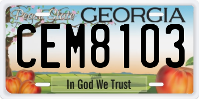 GA license plate CEM8103