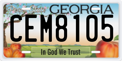 GA license plate CEM8105