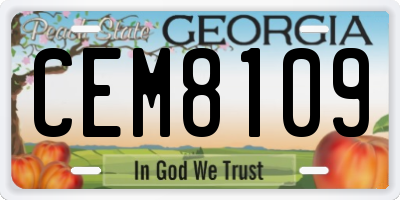 GA license plate CEM8109