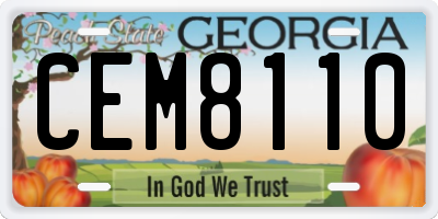 GA license plate CEM8110