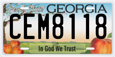 GA license plate CEM8118