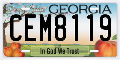 GA license plate CEM8119