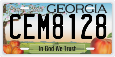 GA license plate CEM8128
