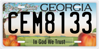 GA license plate CEM8133