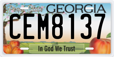 GA license plate CEM8137