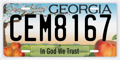 GA license plate CEM8167