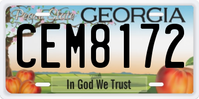 GA license plate CEM8172