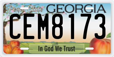 GA license plate CEM8173