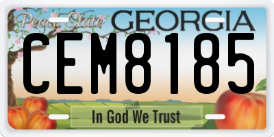 GA license plate CEM8185