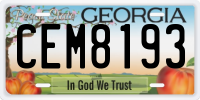 GA license plate CEM8193