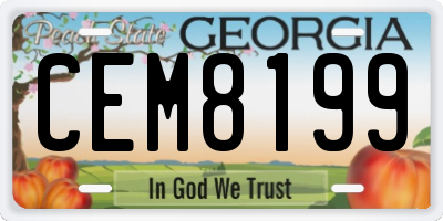 GA license plate CEM8199