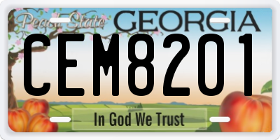 GA license plate CEM8201