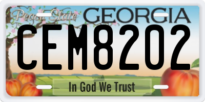 GA license plate CEM8202