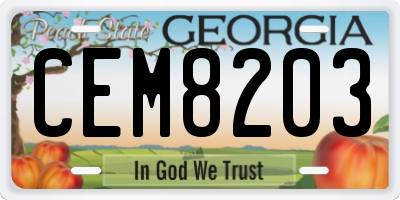 GA license plate CEM8203