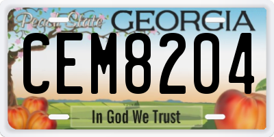 GA license plate CEM8204